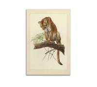 XKUGA Zoology Vintage Poster Leopard Illustration Poster Decorative Painting Canvas Wall Posters And Art Picture Print Modern Family Bedroom Decor Posters 12x18inch(30x45cm)