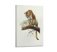 XKUGA Zoology Vintage Poster Leopard Illustration Poster Decorative Painting Canvas Wall Posters And Art Picture Print Modern Family Bedroom Decor Posters 16x24inch(40x60cm)