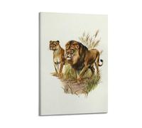 XKUGA Zoology Vintage Poster Lion Male Lioness Poster Decorative Painting Canvas Wall Posters And Art Picture Print Modern Family Bedroom Decor Posters 20x30inch(50x75cm)