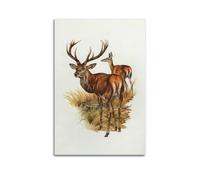 XKUGA Zoology Vintage Poster Red Deer Illustration Poster Decorative Painting Canvas Wall Posters And Art Picture Print Modern Family Bedroom Decor Posters 16x24inch(40x60cm)
