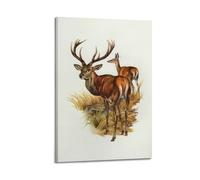 XKUGA Zoology Vintage Poster Red Deer Illustration Poster Decorative Painting Canvas Wall Posters And Art Picture Print Modern Family Bedroom Decor Posters 24x36inch(60x90cm)