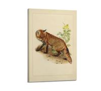 XKUGA Zoology Vintage Poster Red Fox Illustration Poster Decorative Painting Canvas Wall Posters And Art Picture Print Modern Family Bedroom Decor Posters 20x30inch(50x75cm)