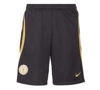 (XL) 2023-2024 Chelsea Strike Dri-Fit Knit Shorts (Navy)