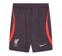 (XL) 2023-2024 Liverpool Strike Training Shorts (Gridiron)