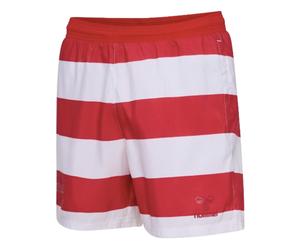 (XL) 2024-2025 Denmark Pattern Swim Shorts (Red)