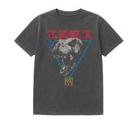 (XL, Black) Jurassic Park Unisex Adult T-Rex Vintage Wash T-Shirt