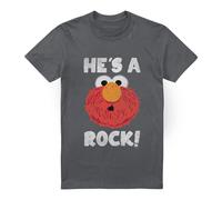 (XL, Charcoal) Sesame Street Unisex Adult He's A Rock T-Shirt