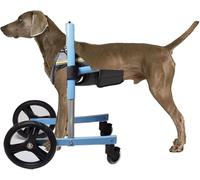 XL Dog Wheelchair for Disabled Dogs, Front Leg Support, Mobility Cart for Canines, Adjustable Pet Trailer, Ideal for Hiking & Outdoor Adventures, Great for Large Bs