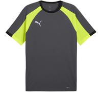 (XL, Grey/Yellow) Puma Mens Individualliga Tailored T-Shirt