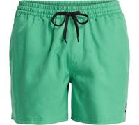 (XL, Leprechaun) Quiksilver Mens Everyday Deluxe 15" Swim Shorts