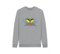 (XL, Light Heather) Superman Unisex Adult Official Flying Sweatshirt