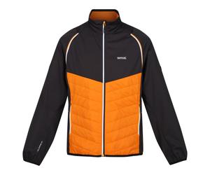 (XL, Orange Pepper/Ash) Regatta Mens Steren Hybrid Soft Shell Jacket