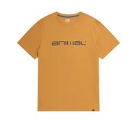 (XL, Yellow) Animal Mens Classico Organic T-Shirt