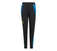 (XLB) 2024-2025 Argentina Training Pants (Carbon) - Kids