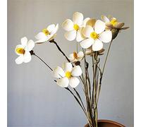 XLBH Artificial dried flowers 10Pcs Died Real Flowers Violet Eternal Butterfly Bouquet Shooting Props Materials For Wedding Party Living Room Decorations Applicable to various scenarios