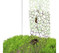 XLIUAX 6 Pcs Jumping Spider Habitat Accessories, Jumping Spider Webbed Moss Ribbon with 6 Pcs Hooks Spiders Habitat Enclosure for Spoods Enclosure Spoods Climbing (3pcs Green + 3pcs Brown)