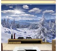 XLMING Beautiful Blue Sky White Clouds Forest Snowy Landscape 3D Wallpaper Luxury Home Dining Decor Paste Sofa Living Room The Wall for Bedroom Mural-200cm×140cm