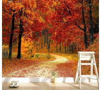 XLMING Beautiful Late Autumn Red Maple Leaves Path 3D Wallpaper Luxury Silk Study Dining Feature Sofa Grey Bedroom Living Room Tv Decorative Wall-200cm×140cm