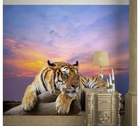 XLMING Beautiful Sky Three Dimensional Animal Tiger 3D Wallpaper Luxury Home Dining Decor Paste Sofa Living Room The Wall for Bedroom Mural-430cm×300cm