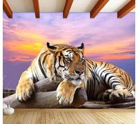 XLMING Beautiful Sunset Tiger Animals Personality 3D Wallpaper Premium Textured Silk Study Dining Living Room Bedroom Sofa TV Wall Easy Install-150cm×105cm