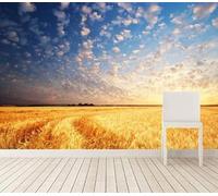 XLMING Beautiful Sunset White Clouds Golden Wheat 3D Wallpaper Luxury Home Dining Decor Paste Sofa Living Room The Wall for Bedroom Mural-350cm×256cm