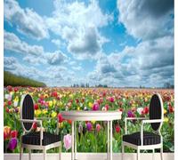 XLMING Blue Sky White Clouds Beautiful Colourful Tulips 3D Wallpaper Premium Textured Silk Study Dining Living Room Bedroom Sofa TV Wall Easy Install-430cm×300cm