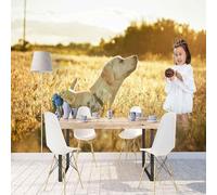 XLMING Cube Golden Prairie Girl Animal Dog 3D Wallpaper Luxury Home Dining Decor Paste Sofa Living Room The Wall for Bedroom Mural-250cm×170cm
