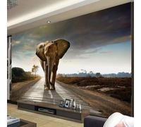 XLMING Indian Elephants Thai Theme Road Photography 3D Wallpaper Luxury Home Dining Decor Paste Sofa Living Room The Wall for Bedroom Mural-300cm×210cm