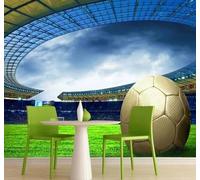 XLMING Large Three Dimensional Stadium Sports Football 3D Wallpaper Premium Textured Silk Study Dining Living Room Bedroom Sofa TV Wall Easy Install-250cm×170cm