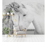 XLMING Minimalist Three Dimensional Black and White Animal White Horse 3D Wallpaper Premium Textured Silk Study Dining Living Room Bedroom Sofa TV Wall Easy Install-150cm×105cm