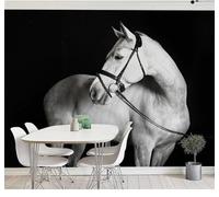 XLMING Minimalist Three Dimensional Black and White Animals White Horse 3D Wallpaper Luxury Silk Study Dining Feature Sofa Grey Bedroom Living Room Tv Decorative Wall-400cm×280cm