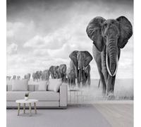 XLMING Minimalist Three Dimensional Black and White Elephant Sky 3D Wallpaper Luxury Home Dining Decor Paste Sofa Living Room The Wall for Bedroom Mural-300cm×210cm