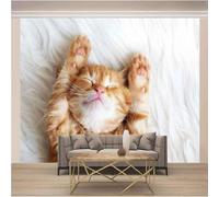 XLMING Simple Three Dimensional Animal Kitten Creative 3D Wallpaper Textured Silk Easy Install Living Room Sofa Bedroom Dining Room Home Decoration Wall-350cm×256cm