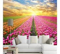 XLMING Warm Beautiful Sunset Colourful Tulips Flower Field 3D Wallpaper Silky Texture Home Study Office Grey Dining Room Sofa Bedroom Living Room TV Backdrop-150cm×105cm