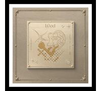 XLOV - XLOV I,GOD 2nd Mini Album (G Ver.+Card) K-POP