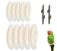 XLTXWD 10PCS Cuttlefish Bone, Cuttlefish for Birds with Cuttlefish Bone for Tortoise, Chewing Exercise and Foraging Activity Support (White 10PCS)
