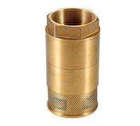 XLWLLNJ Double Door Valve Brass Bottom Valve Pump Foot Valve Strainer Screen Female Thread Hex Nut Backflow Tight Seal Build Suitable for Irrigation Lines, 2.5 Inch DN65
