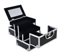 XLWLLNJ Professional Makeup Case Portable Cosmetic Organizer Box with Built in Mirror and Sliding Tiered Trays Aluminum Alloy Frame Suitable Dorm Room, Korean, Array, Black