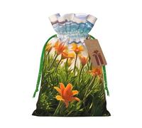 Xmas Gift Bags Xmas Treat Bags Reusable Christmas Bags for Gifts flowers at the beach Gift Bags with Tags Party Supplies S