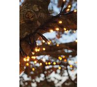 Xmas Haus Cluster Lights Black Rubber IP65 5m/250 LED Copper Gold Xmas Haus Black