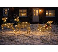 Xmas Haus Glitter Rattan Led Reindeer & Sleigh 60 Warm White Led Outdoor Timer