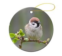Xmas Tree Bauble Bird Field Sparrow, Ceramic Christmas Ornaments With Lanyard Christmas Hanging Decoration Christmas Baubles For Indoor Xmas Holiday Family