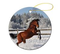 Xmas Tree Bauble Horse Head Winter Snow, Ceramic Christmas Ornaments With Lanyard Bauble Ceramic Hanging For Family Indoor Party