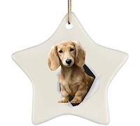 Xmas Tree Decorations With Ribbon Ceramic Hanging Funny Christmas Ornaments Keepsake Funny Dachshund Cream Coming Out Of Cracked Wall