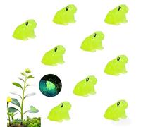 XMHBG 10 PCS Glow-in-The-Dark Resin Frog Figurines - Tiny Miniature Plant Decor Eyes for Indoor Plants, Fairy Gardens & DIY Crafts (No Magnet)