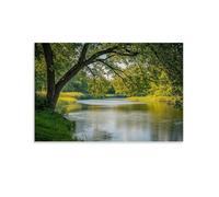 XMHMYHZJ A Peaceful River Bend with Calm Waters And Overhanging Trees Wall Art Mural Modern Decoration Hanging Art Poster 12x18inch(30x45cm)