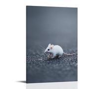 XMHMYHZJ A White Mouse Tiptoes Across A Steel Gray Field, Its Movement Delicate And Almost Invisible to The Minimalist World. Wall Art Mural Modern Decoration Hanging Art Poster 08x12inch(20x30cm)
