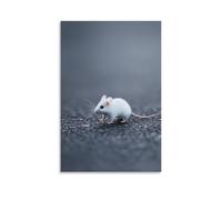 XMHMYHZJ A White Mouse Tiptoes Across A Steel Gray Field, Its Movement Delicate And Almost Invisible to The Minimalist World. Wall Art Mural Modern Decoration Hanging Art Poster 08x12inch(20x30cm)