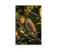 XMHMYHZJ Animal Poster Featuring A Bird on A Tree Branch on An Early Afternoon Wall Art Mural Modern Decoration Hanging Art Poster 08x12inch(20x30cm)