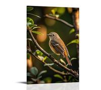 XMHMYHZJ Animal Poster Featuring A Bird on A Tree Branch on An Early Afternoon Wall Art Mural Modern Decoration Hanging Art Poster 12x18inch(30x45cm)